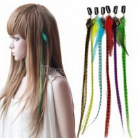 /album/fotogaljerjeja-nakladnyje-prjadi-i-prichjeski-s-ikh-ispolzovanijem-/a19-jpg2/