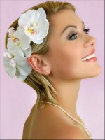 /album/korotkie/korotkie000003e-jpg/