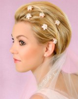 /album/korotkie/svadebnye-pricheski-17-jpg/